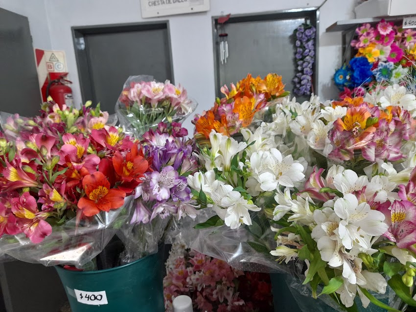 Floreria La Japonesita