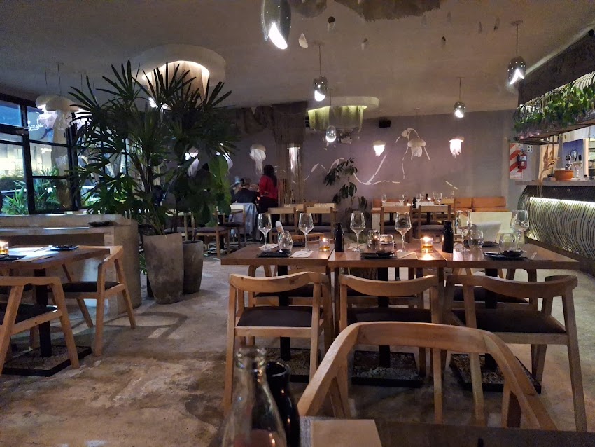 Sinchi Nikkei Restaurante