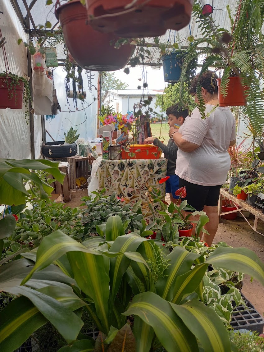 vivero japones