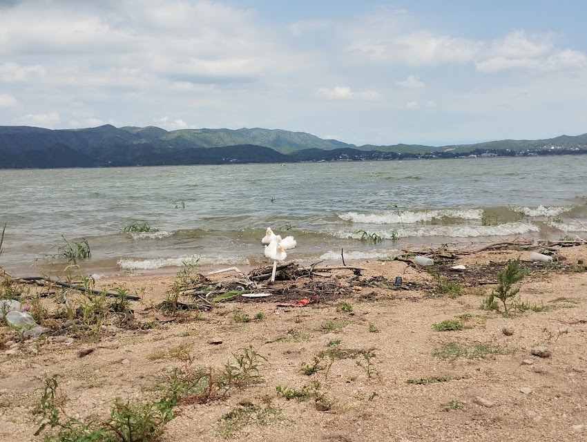 Playa de los japoneses (la oficina)